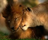 Фотография Левиной Анастасии