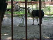 Віталій Слюсар фотография #50 (источник - https://vk.com/id112001719)