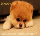 Марія Котович фотография #32 (источник - https://vk.com/id151088469)