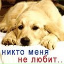 Фотография Башаровой Светочки