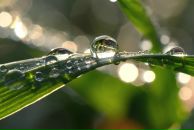 Сергій Рибчинський фотография #40 (источник - https://vk.com/id16036253)