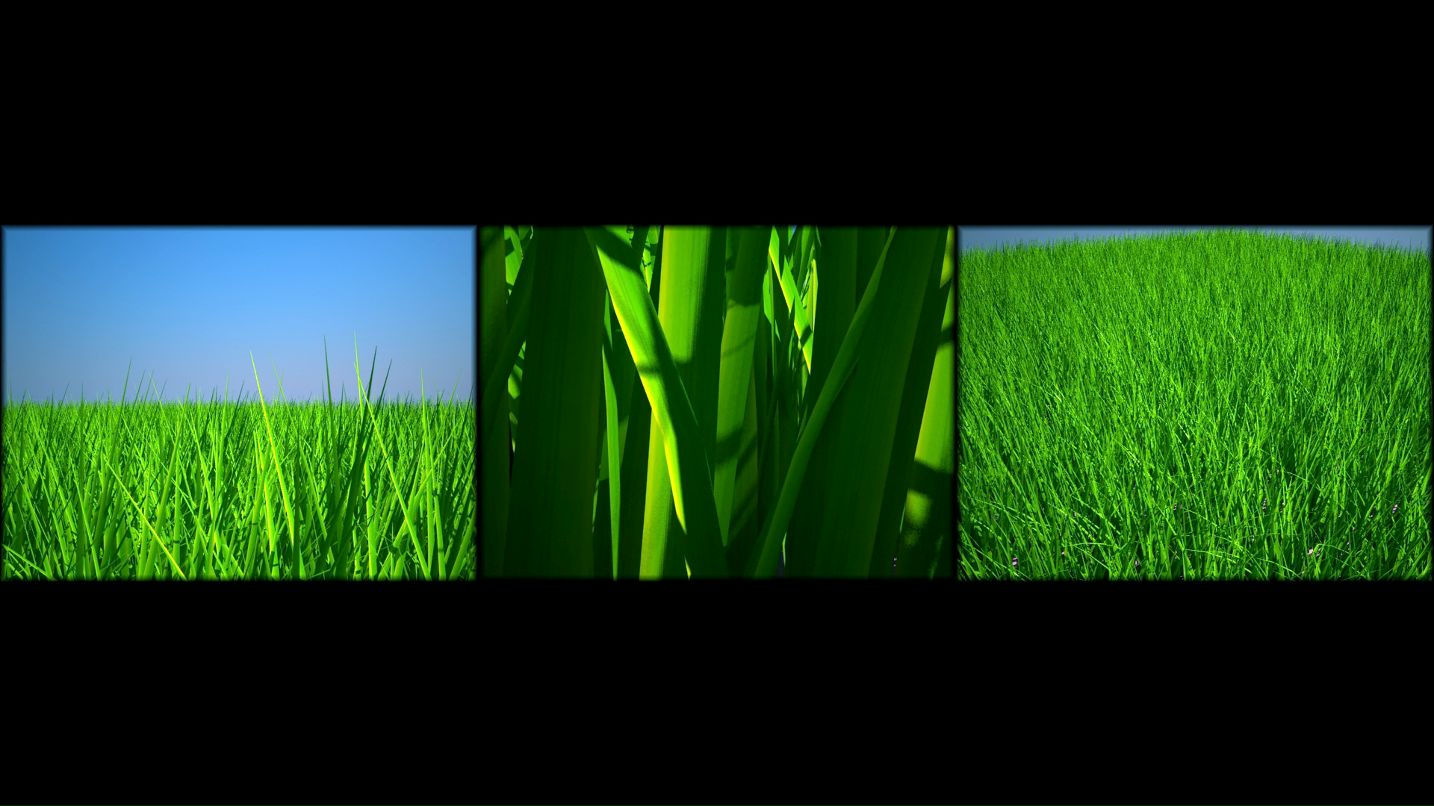 Fred Thunderbird фотография #26