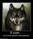 Олексій Анатолійович фотография #36 (источник - https://vk.com/id128611270)
