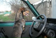 Фотография Закамский Андрей