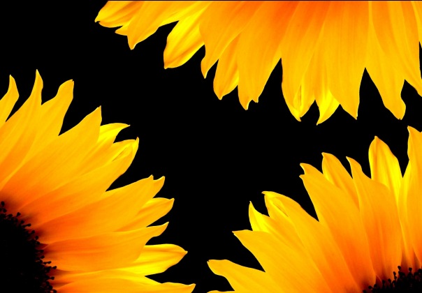 Bryan Stewart фото №1