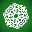 Сніжанка Кобилюх фотография #45 (источник - https://vk.com/id144980257)