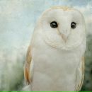 Фотография Королёвой Елены