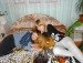 Андріан Руснак фотография #4 (источник - https://vk.com/id133049985)