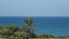 Олена Дівченко фотография #20 (источник - https://vk.com/id6475327)