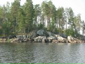 Михаил Романенко фотография #9 (источник - https://vk.com/id990772)