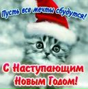 Тетяна Сікора фотография #49 (источник - https://vk.com/id104180407)