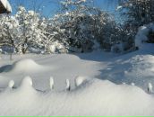 Иван Никулин фотография #45 (источник - https://vk.com/id755602)