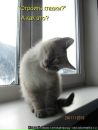 Фотография Свеженцевой Лидии