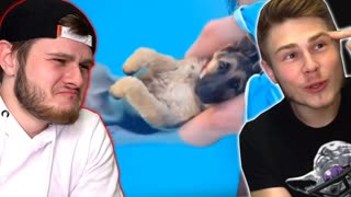 НИКАКОГО АНИМЕ - Смотрим 1019 СЕКУНД СМЕХА